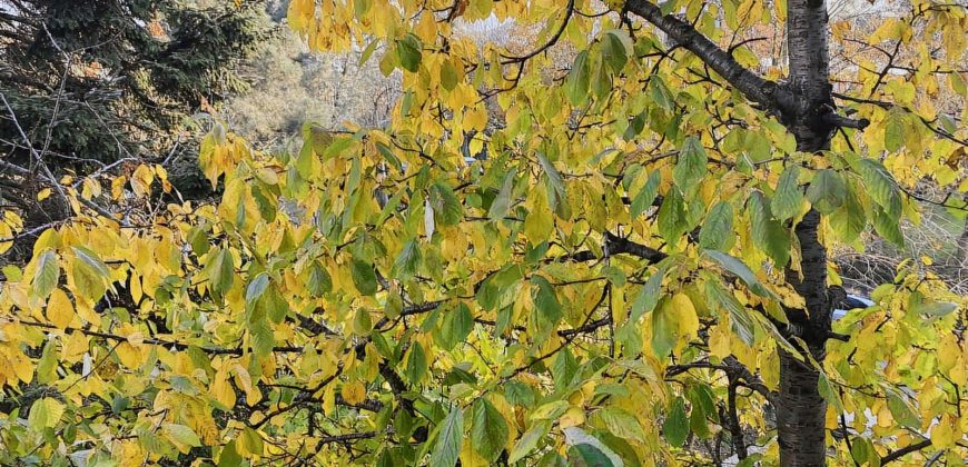 Etiler’de Metro İstasyonu Yanında 3+1 110 m2 Daire